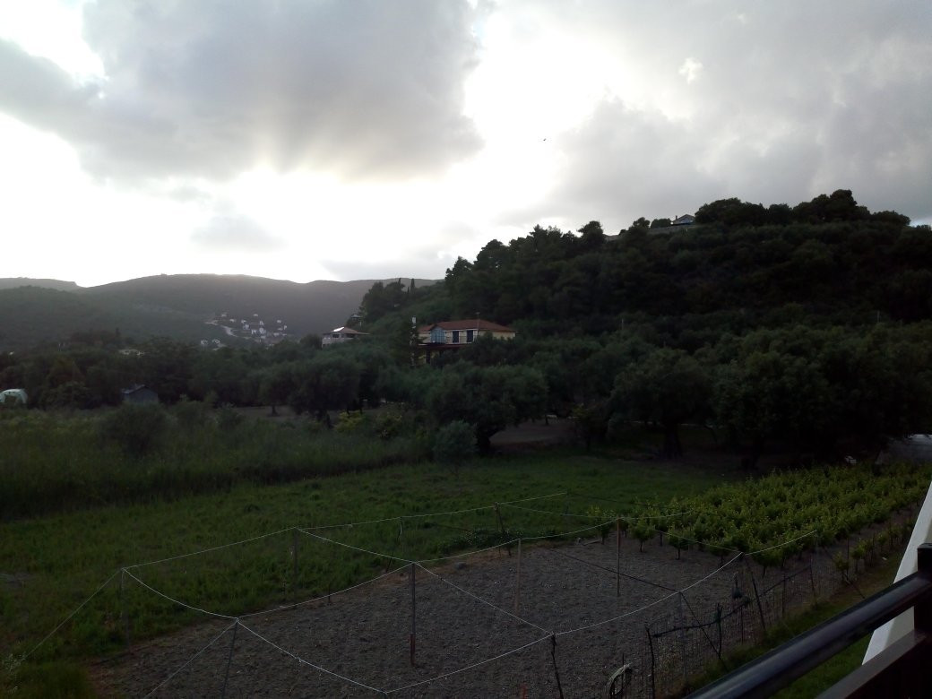 Pansion Porto Tsi Ostrias主图