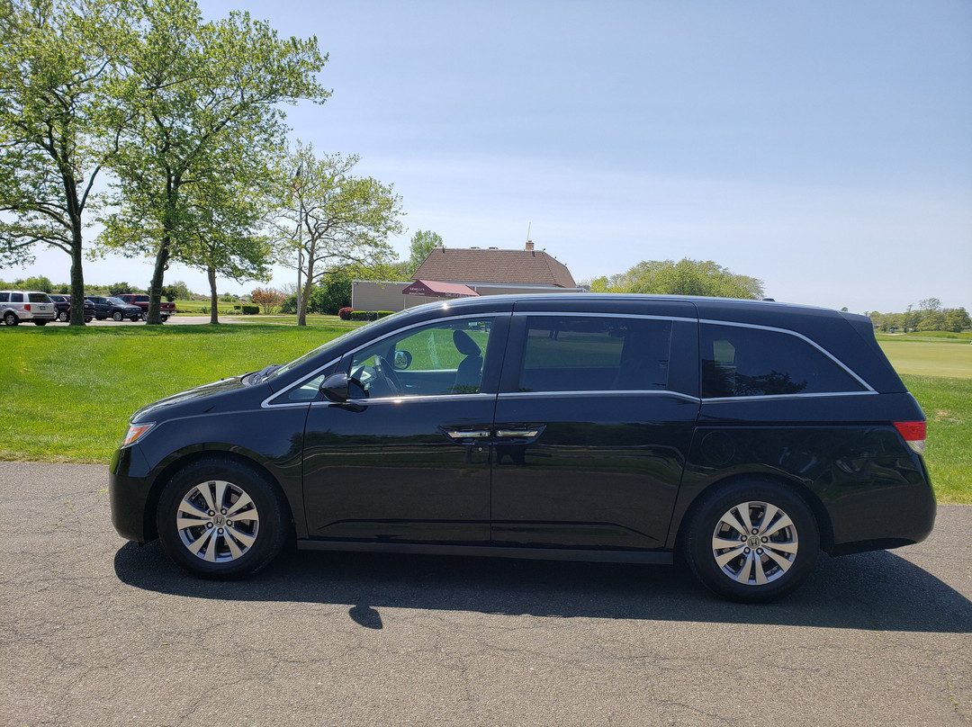 Babylon Taxi and Airport Service-Babylon必去景点