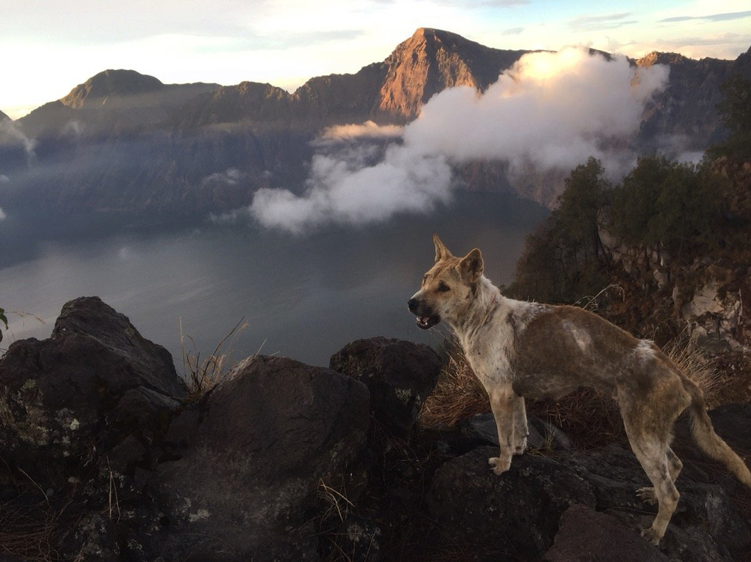 Dewa Trekking-Sembalun Lawang必去景点