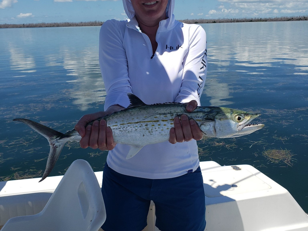 The Tackle Box-马拉松必去景点