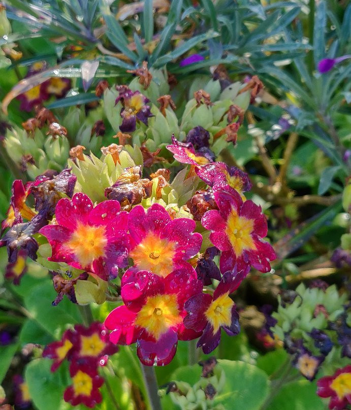 Monastery garden prinknash景点图片