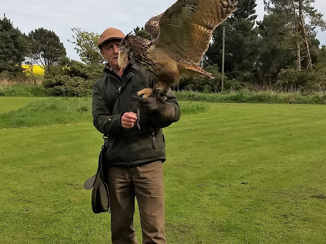 The Scottish Countryman-Crail必去景点
