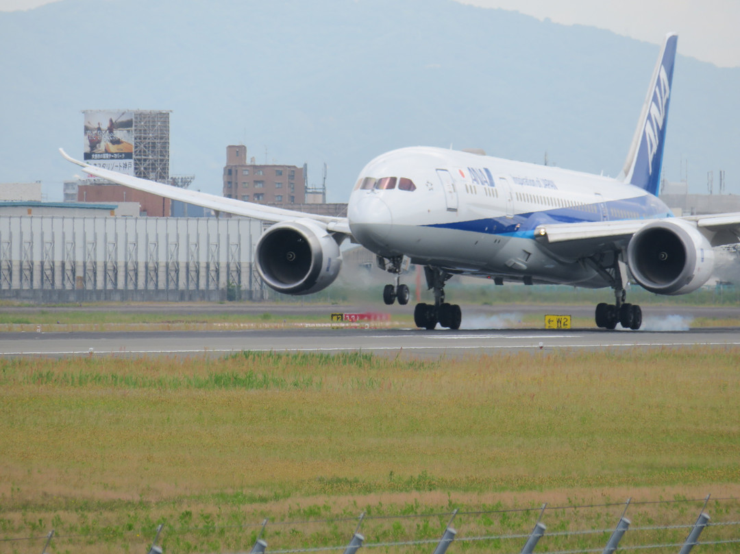 Itami Sky Park景点图片