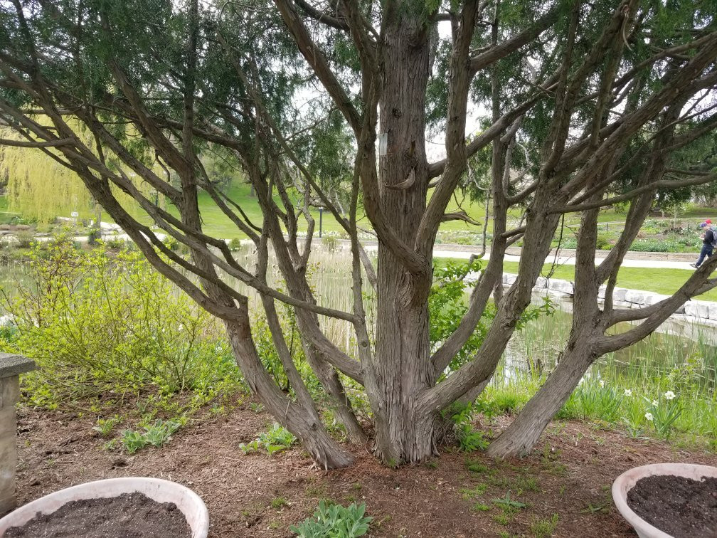 多伦多汉伯植物园-多伦多必去景点