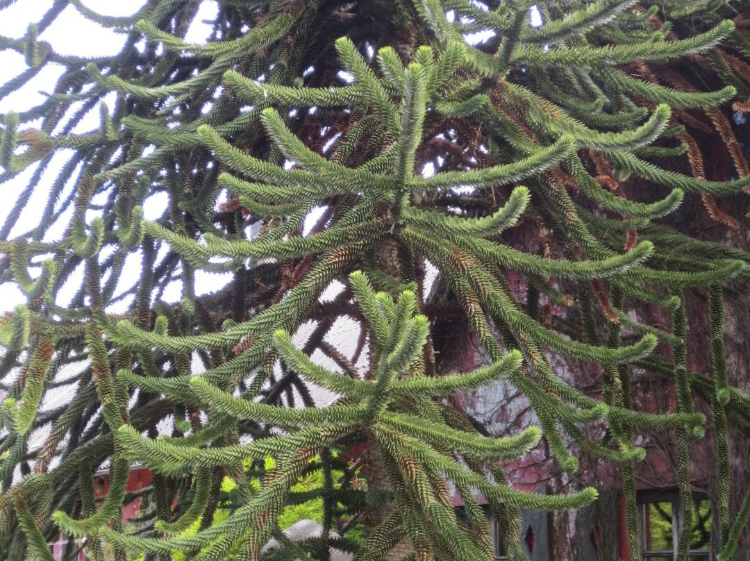 Olsens Paradis-Norre Vejrup必去景点