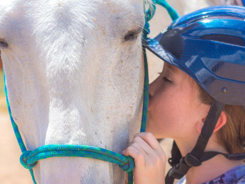Park City Horse Experience-Kamas必去景点