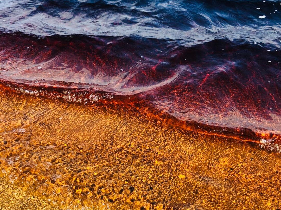 Coca Cola Lake-Karikari Peninsula必去景点