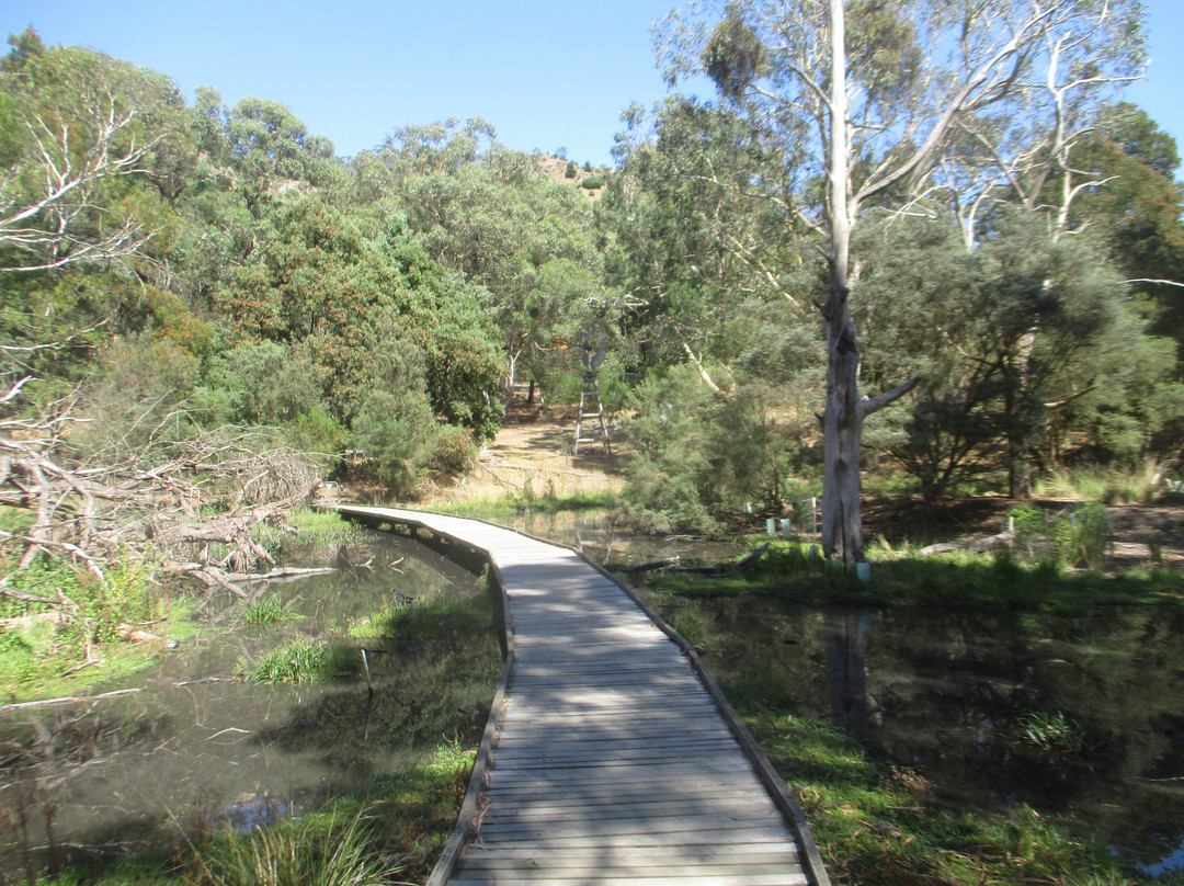 Valley Lake Conservation Park景点图片