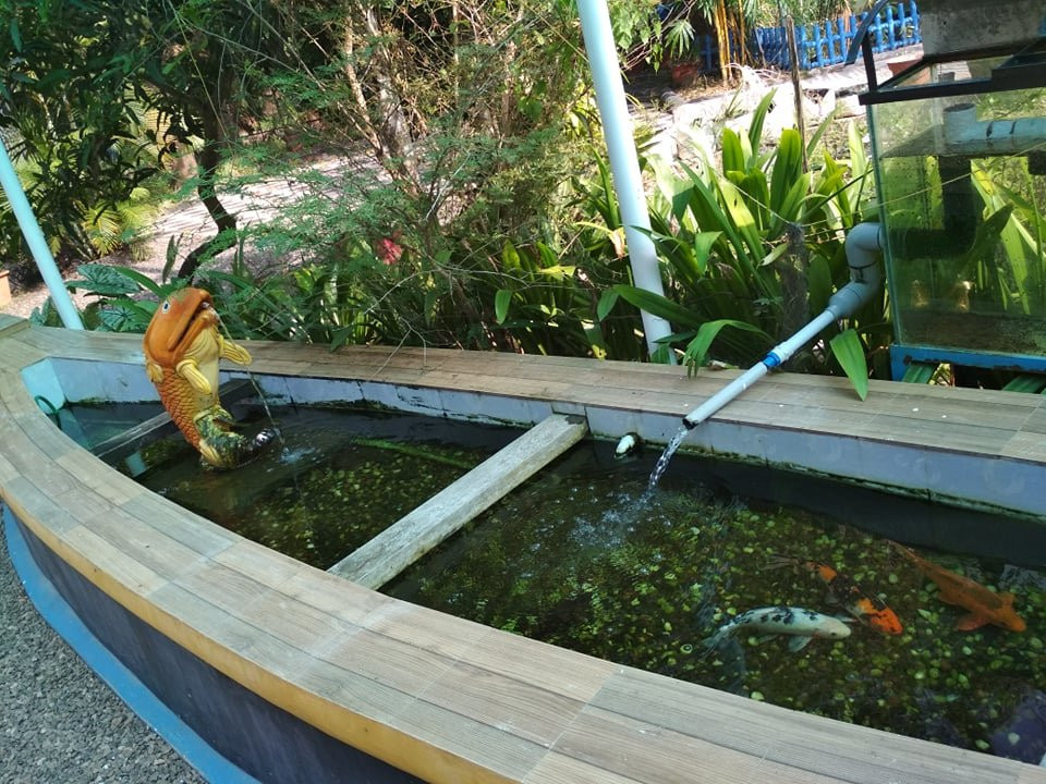 Serene Homestay & Farm Tours主图