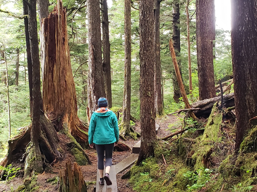 Harbor Mountain Trail-锡特卡必去景点