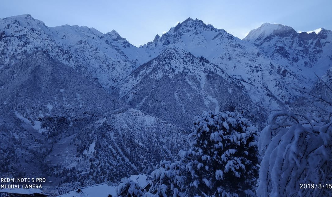 The Alpine Nest Hotel主图