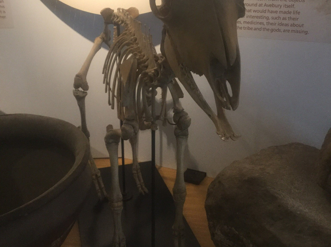 Alexander Keiller Museum景点图片