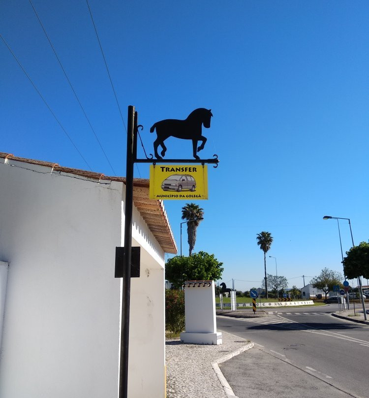 Casa do Largo - Golega主图