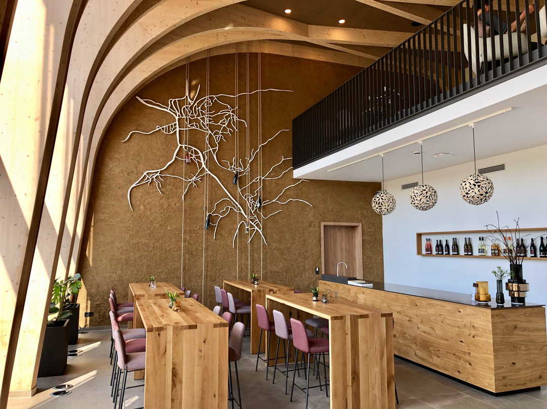 Weinhotel Pfeffer & Salz主图