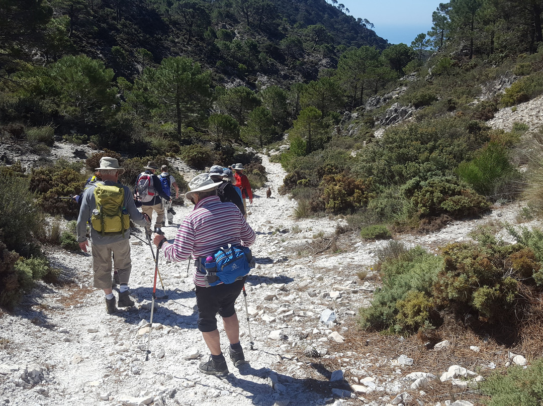 Finca Los Pinos主图