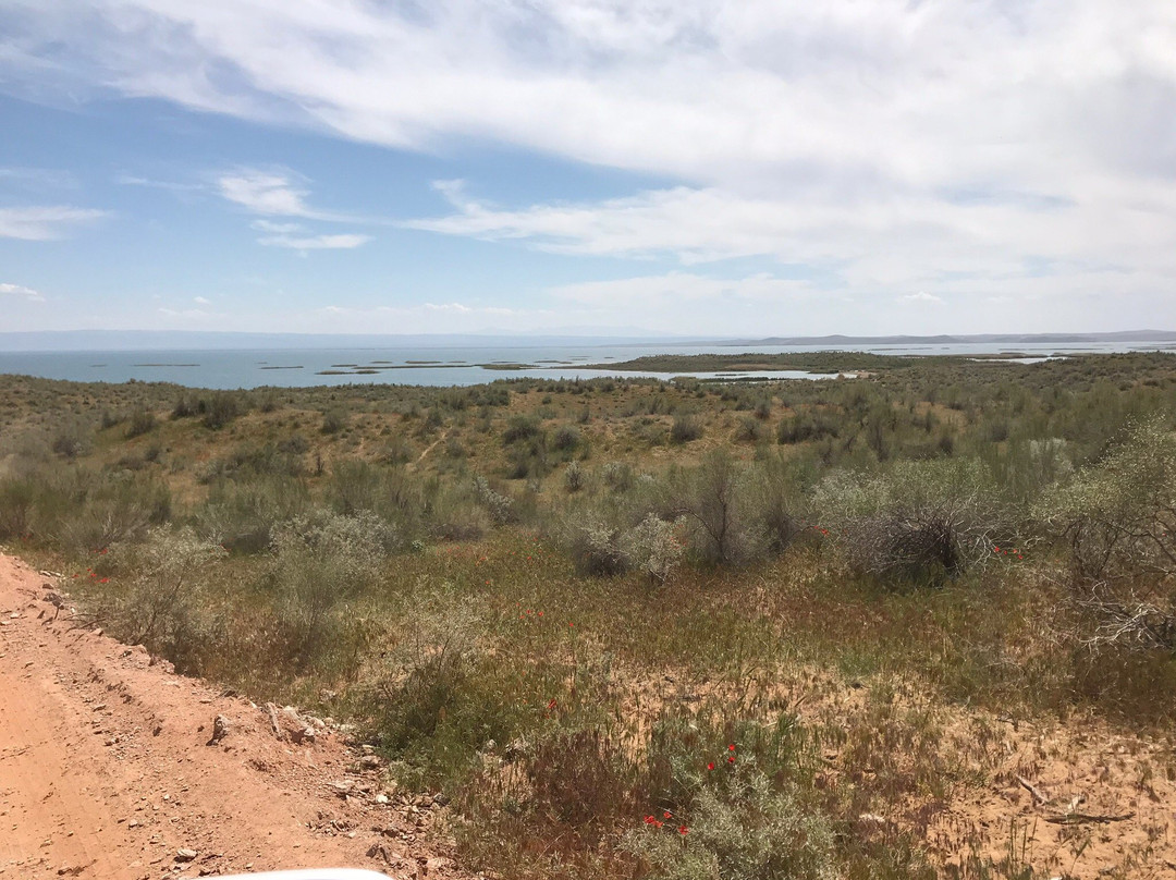 Aydar Lake-Jizzakh Province必去景点