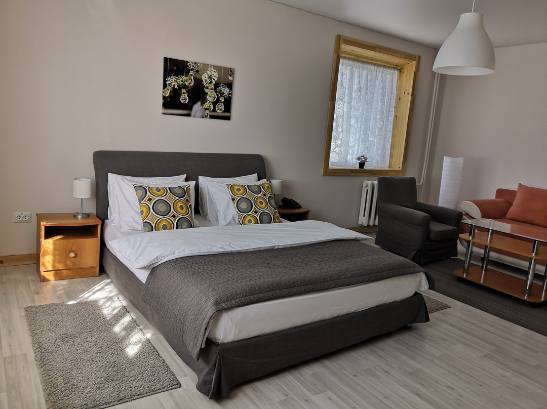 Tobolsk酒店住宿-Neftehimik Hotel