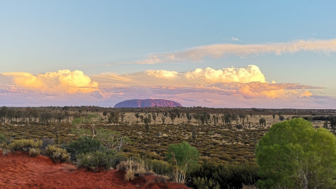 Uluru Camel Tours景点图片