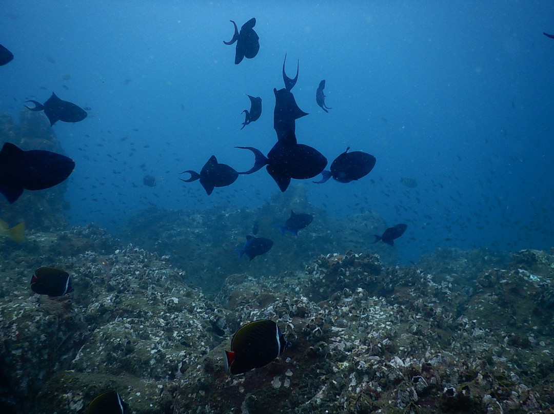 West Coast Adventures Kapu-乌杜皮必去景点