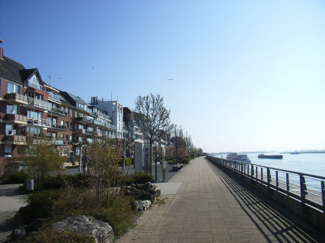 Rheinpromenade景点图片