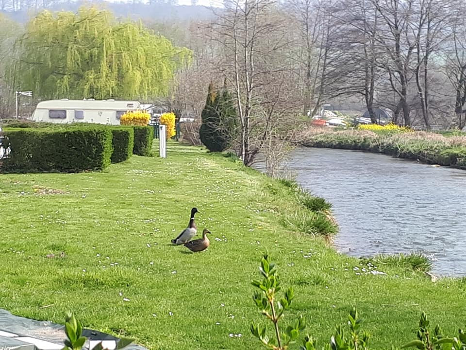 Camping des 2 Rivieres
