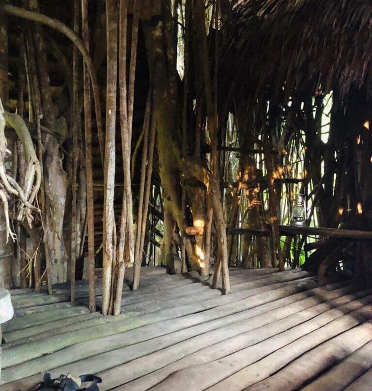 La Maison Du Banian主图