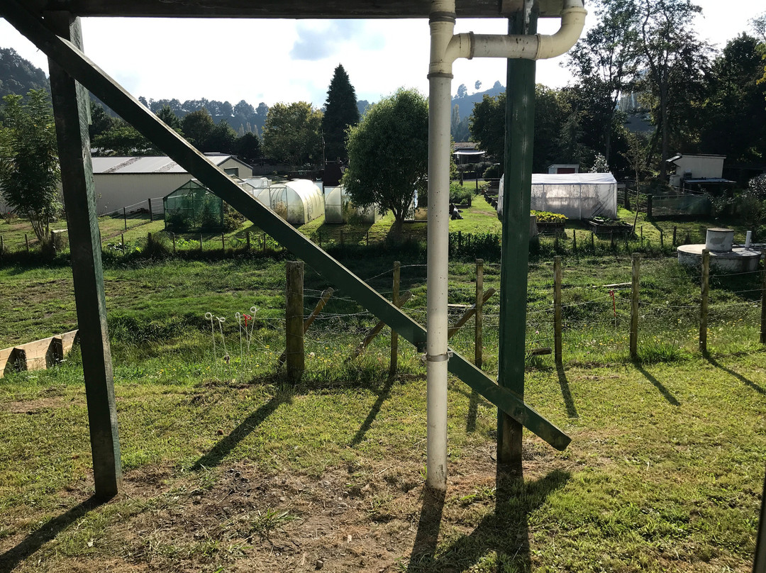 Mahoe Motel & Restaurant主图