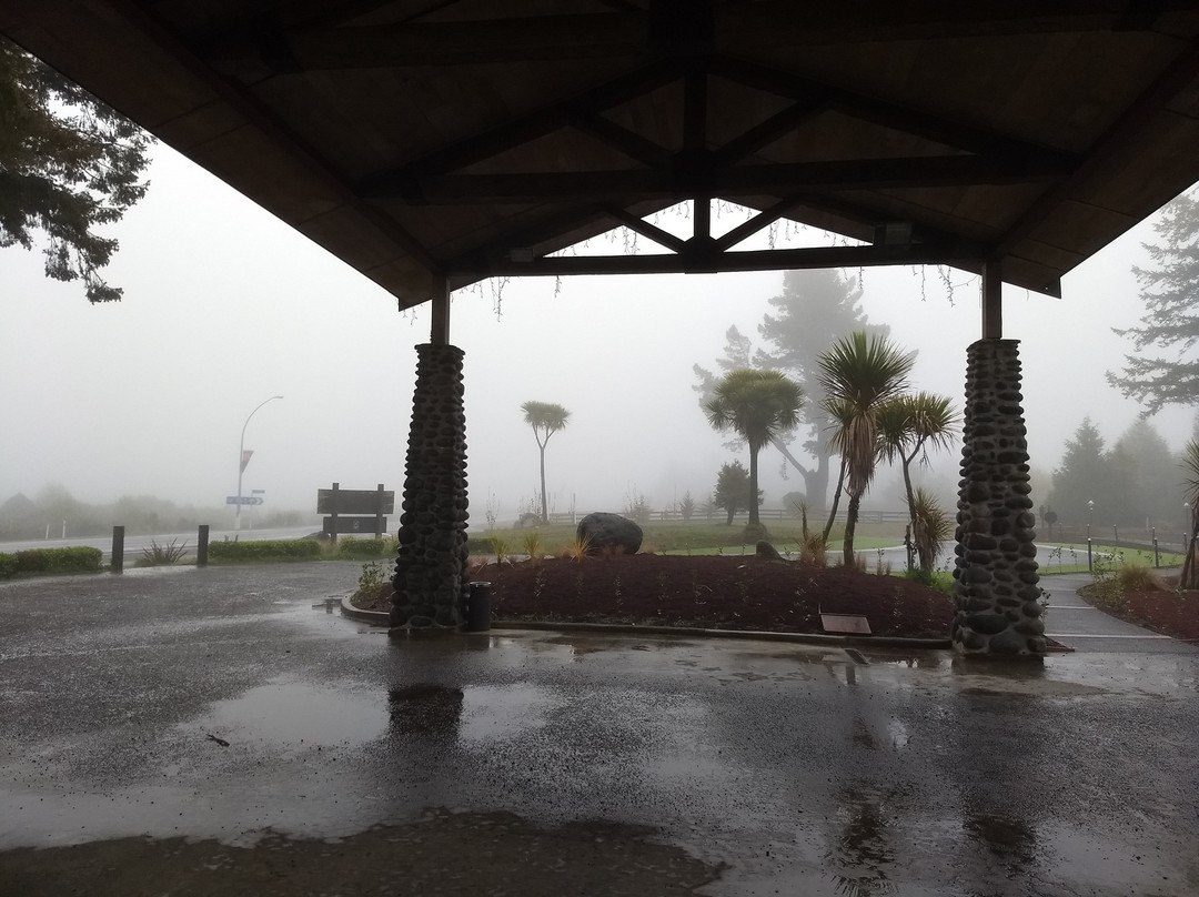 The Park Hotel主图