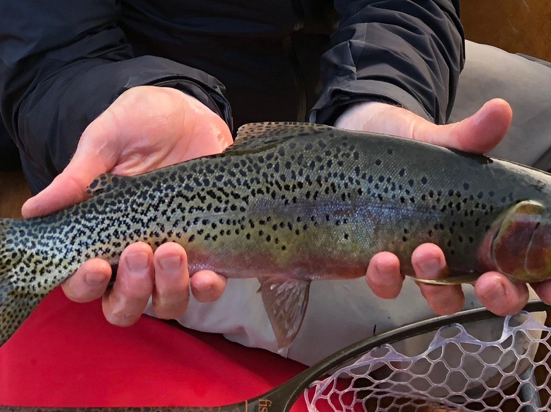 Long Drift Outfitters-Moyie Springs必去景点