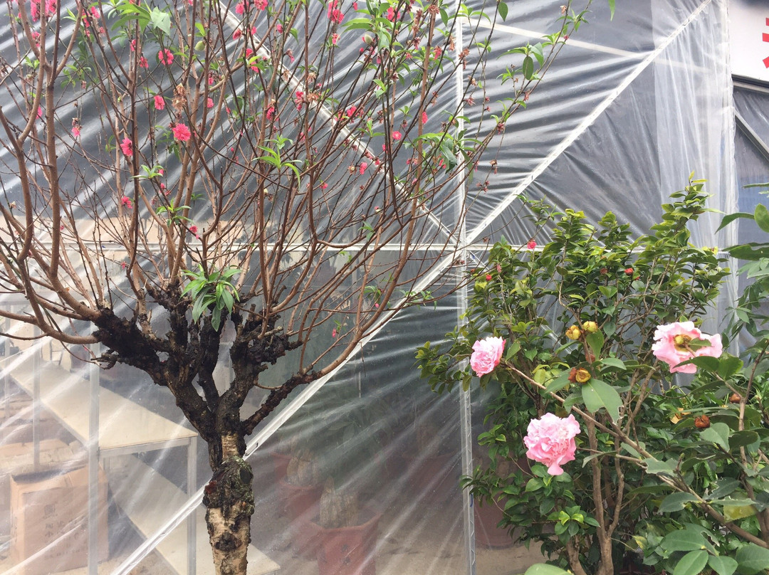 金凯苑商务宾馆主图