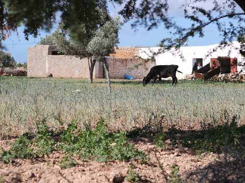 Ecotourisme et Randonnées-索维拉必去景点