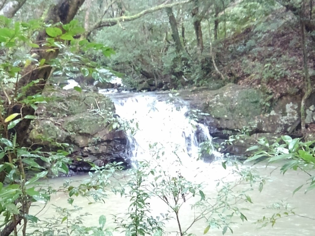 Obuchi Mebuchi no Taki Falls景点图片