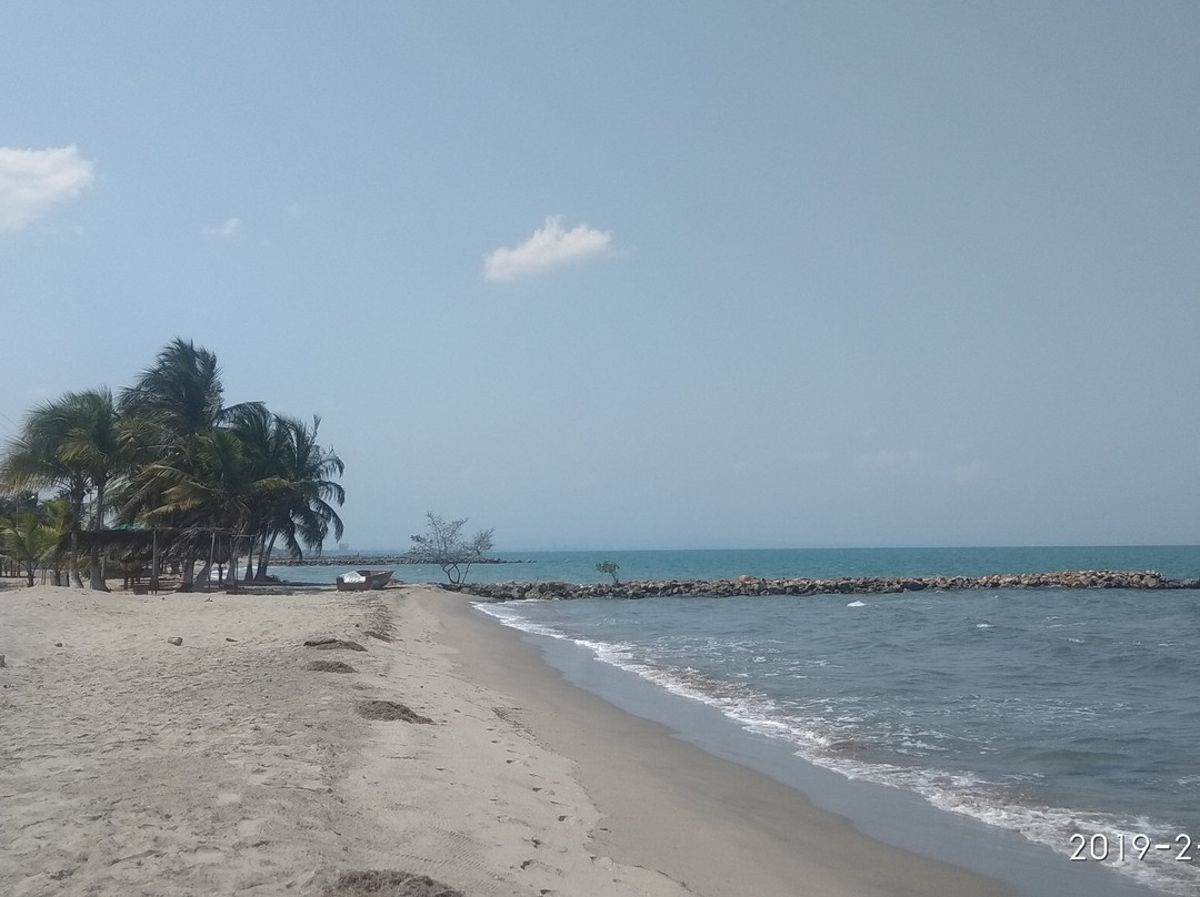 Manglar de Las Garzas