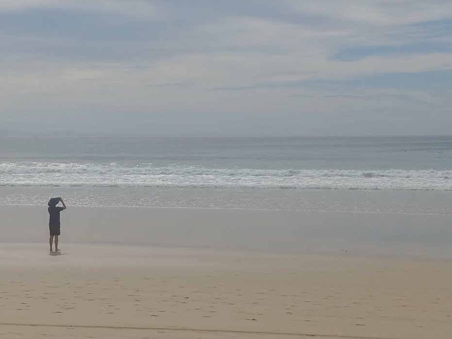 Dolphin Beach-杰佛瑞湾必去景点