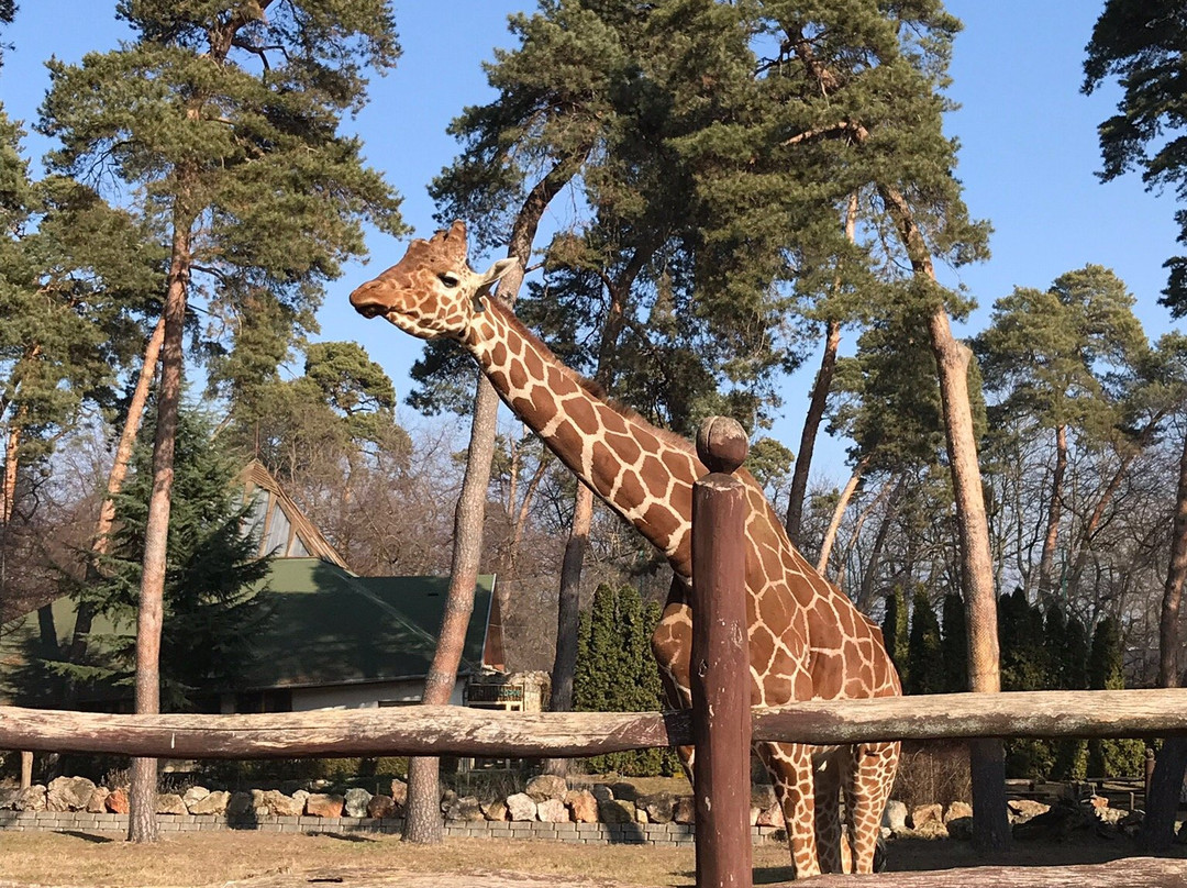 Zoo Debrecen景点图片