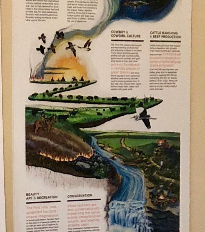 Prairie Earth Tours-恩波里亚必去景点