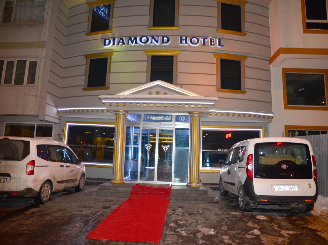 Diamond Hotel主图