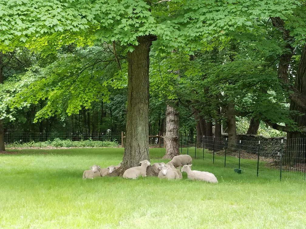 Perkins Stone Mansion & John Brown House-阿克伦必去景点