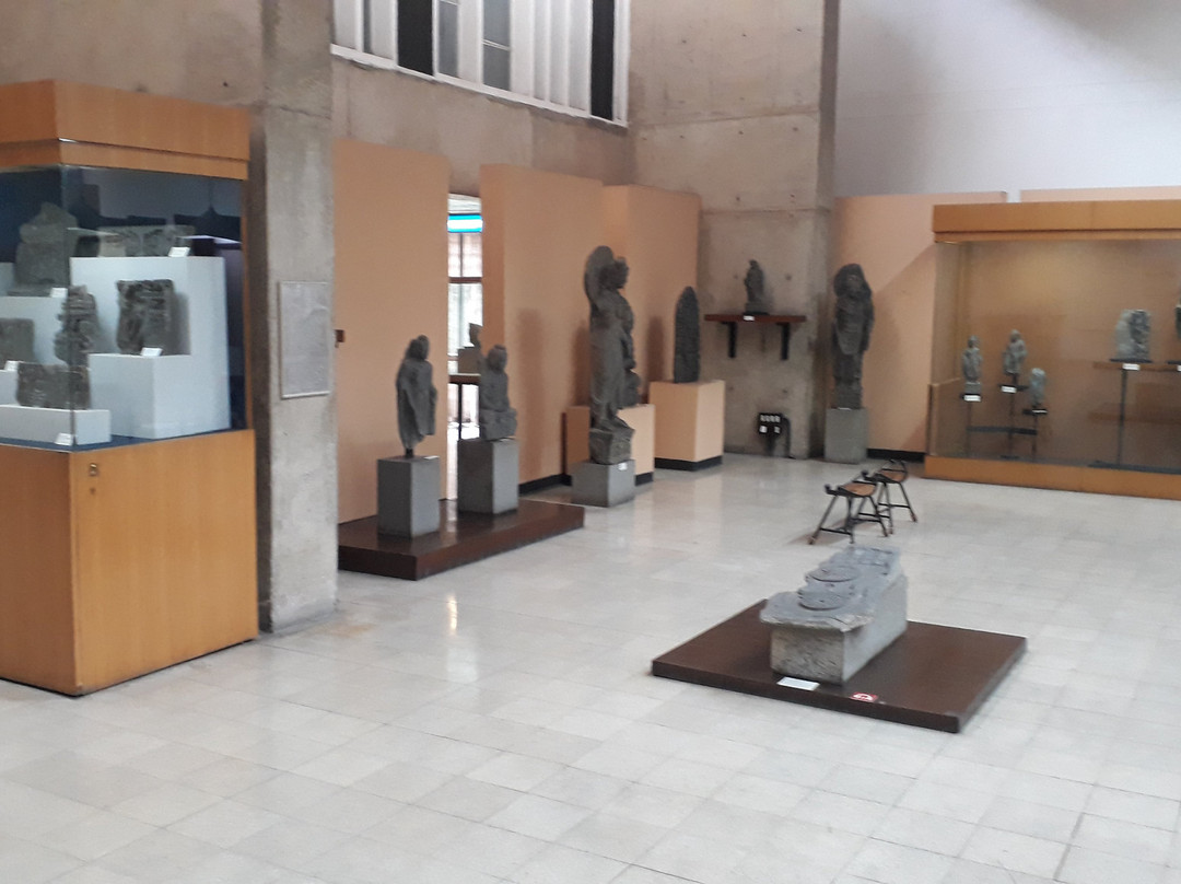 Government Museum and Art Gallery-昌迪加必去景点