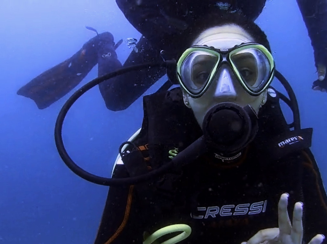 By Fish Mergulho-Dive Center-阿拉伊阿尔港必去景点