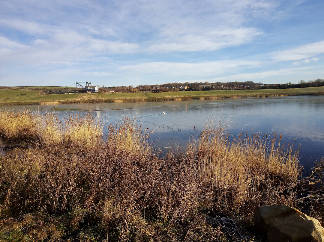 RSPB St Aidan's nature park景点图片