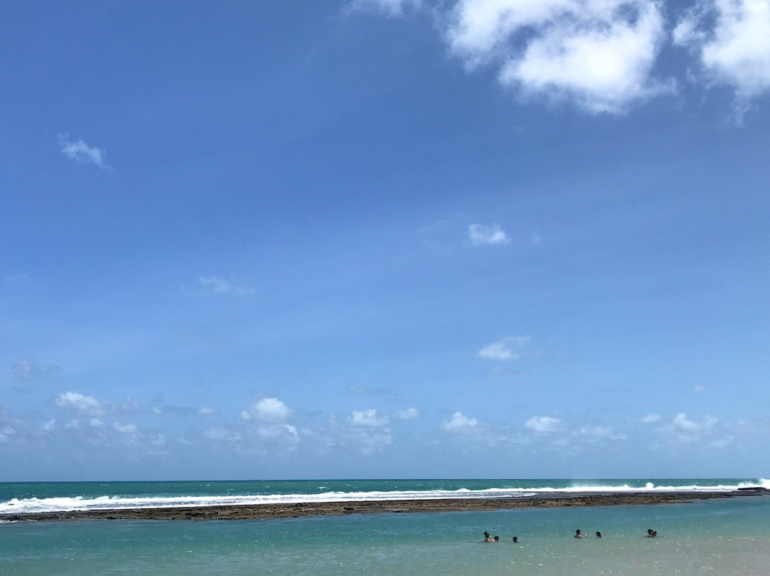 Taipu旅游攻略图片