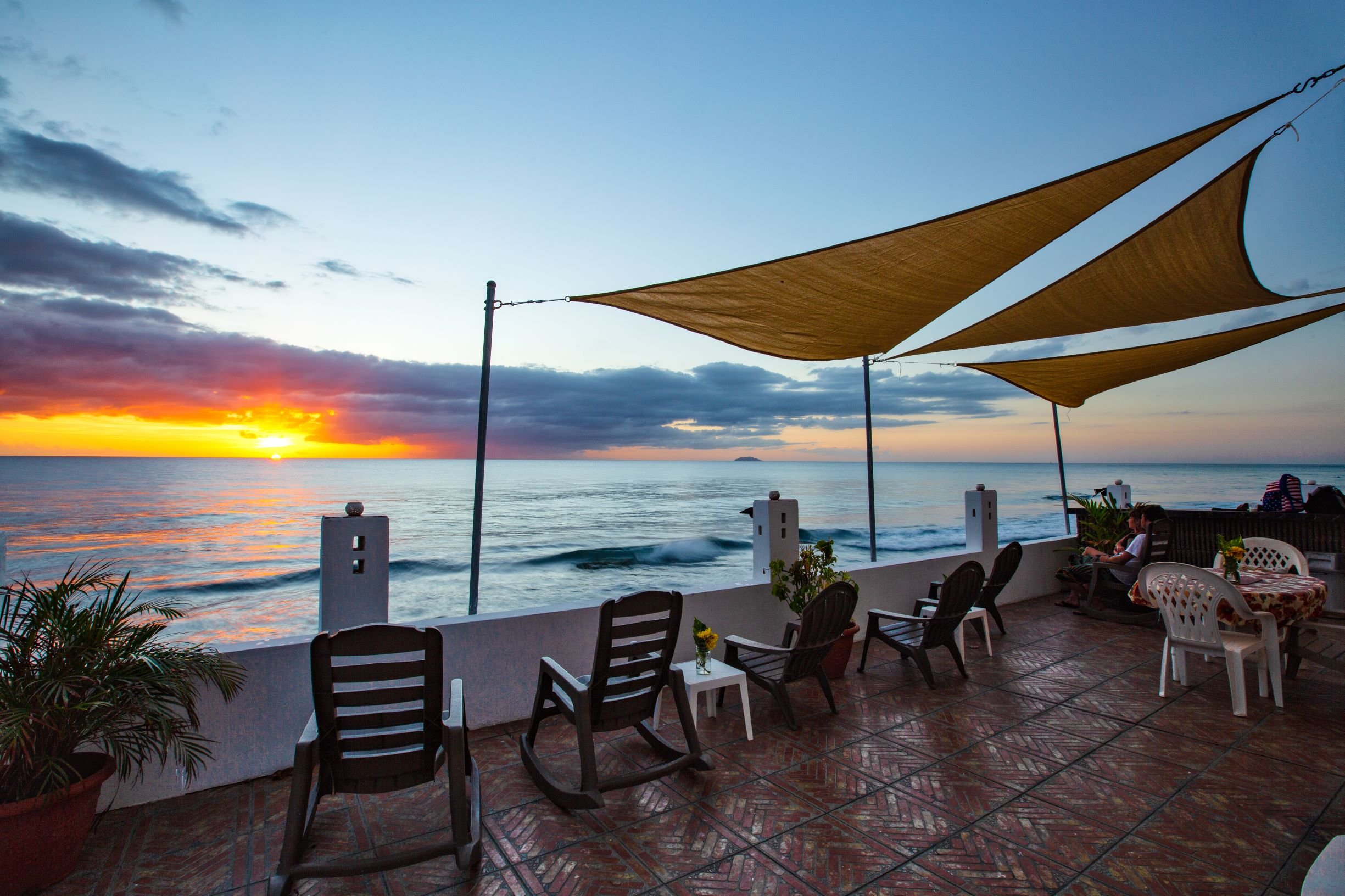 Coconut Palms Inn-官方