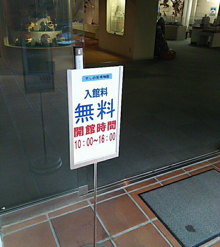 Yashinomi Museum-田原市必去景点