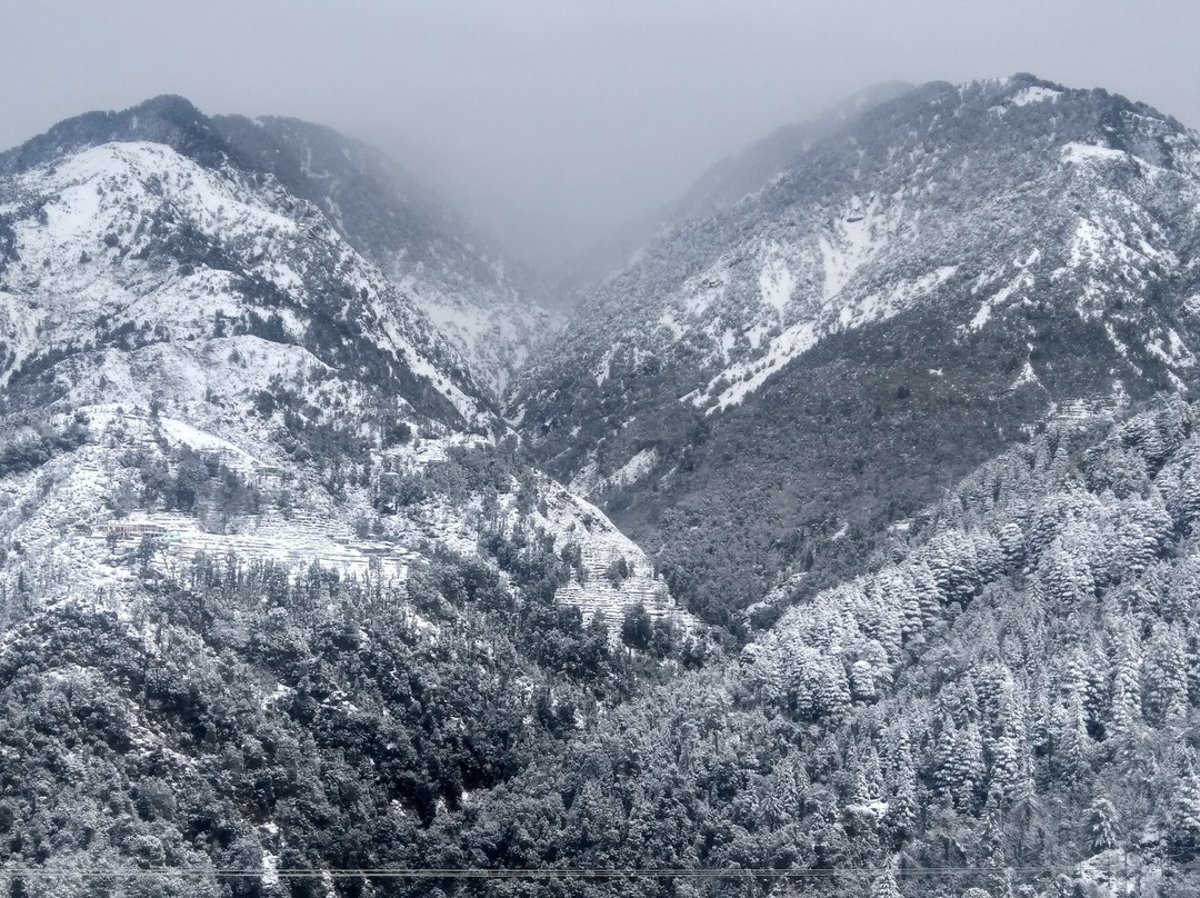 Dragon I Resorts Pvt Ltd主图