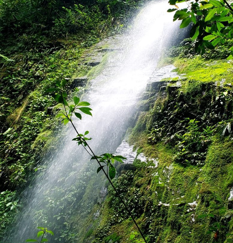 Chachagua旅游攻略图片