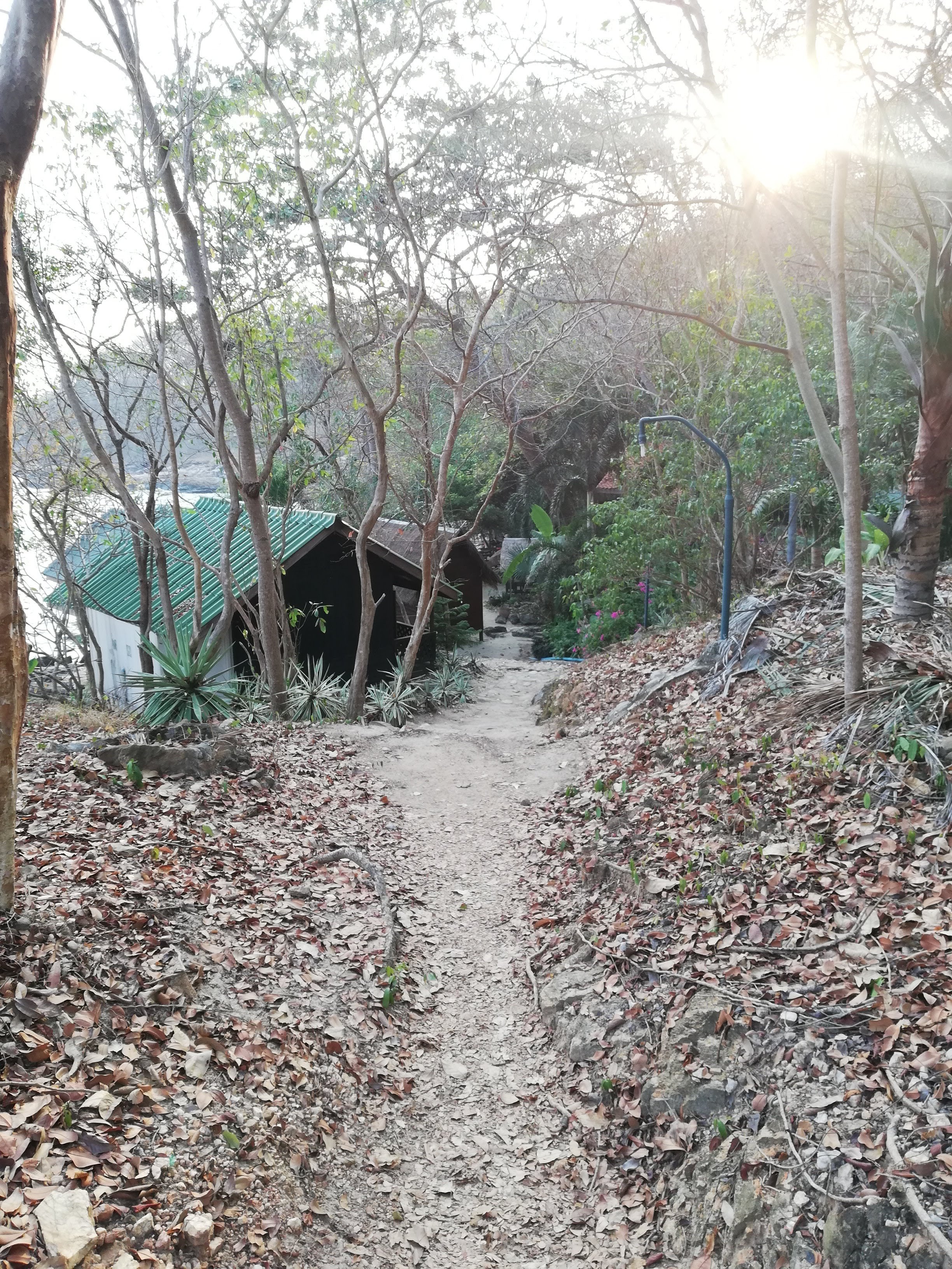 Noina's Mystic Mountain-酒店景观