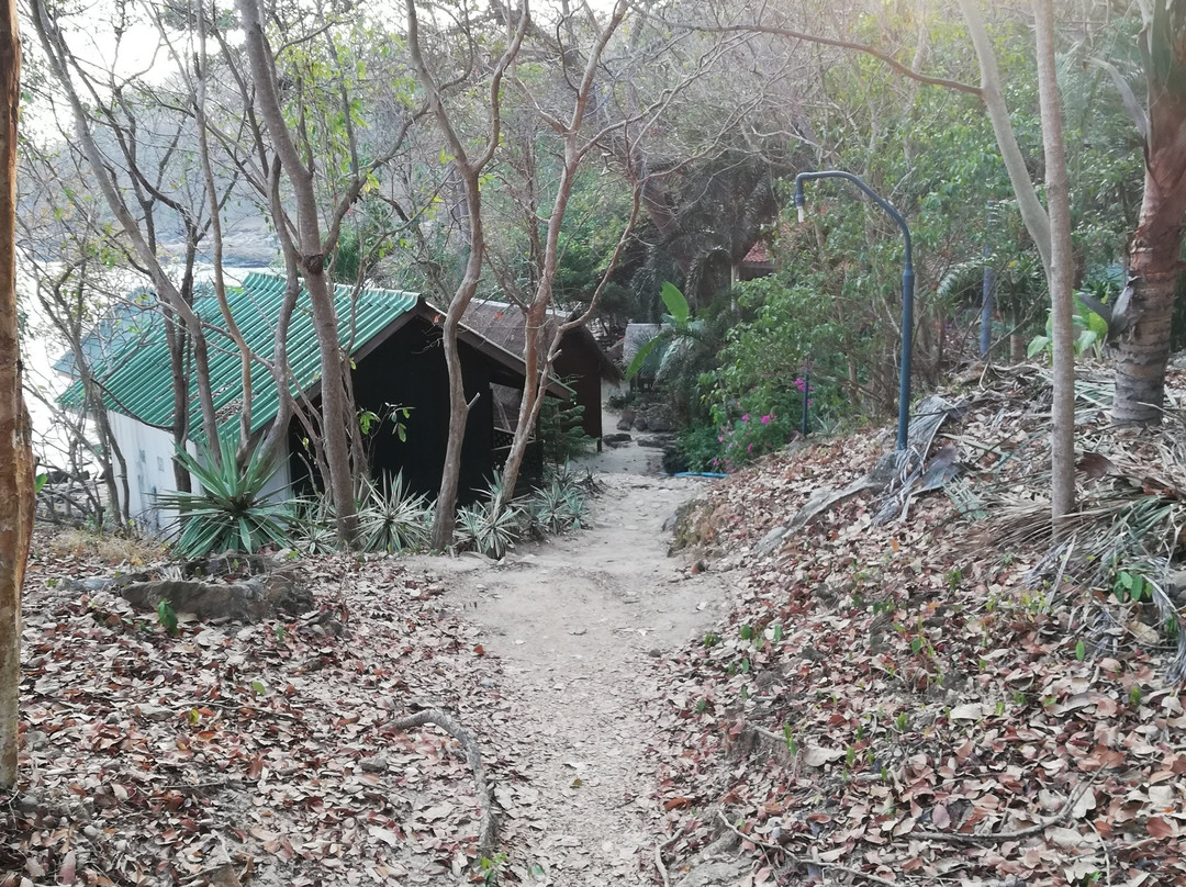 Noina's Mystic Mountain主图