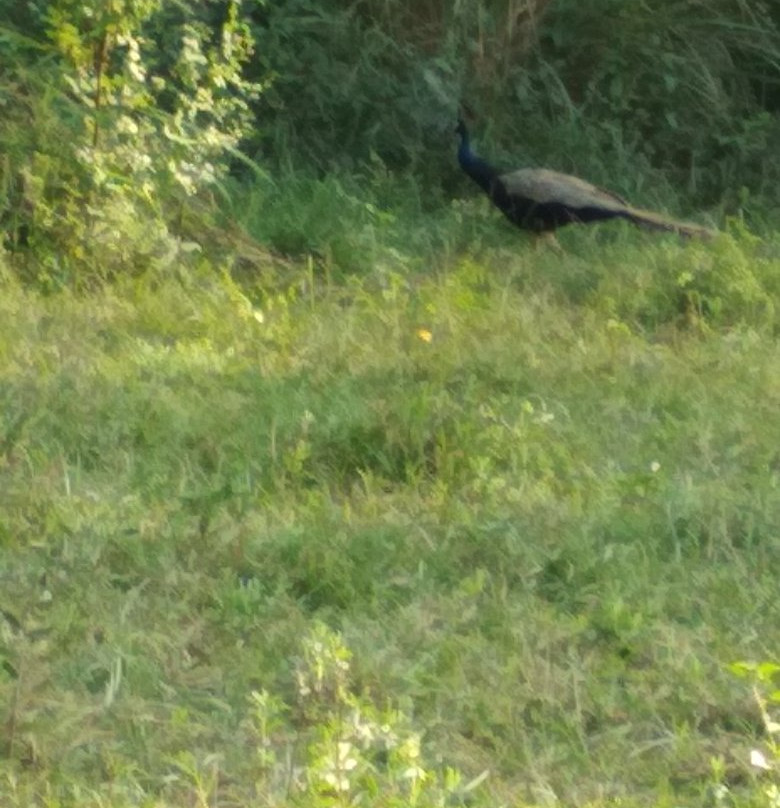 360 Degree Resorts主图