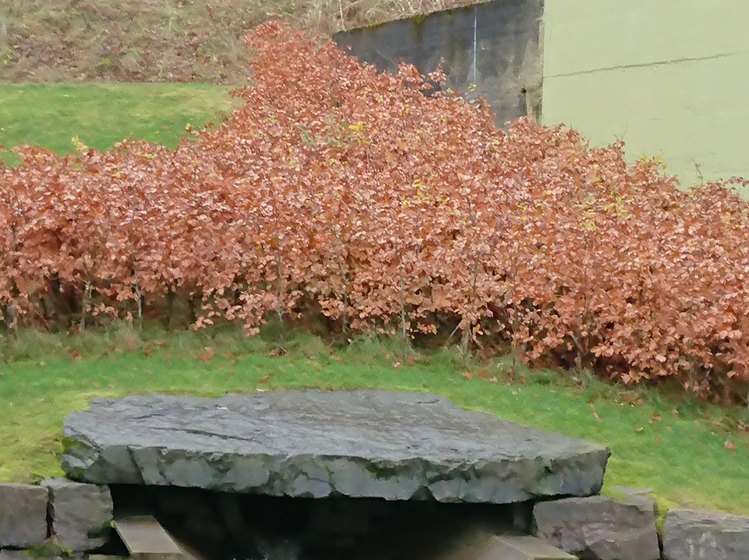 Laksevag Local Museum-卑尔根必去景点